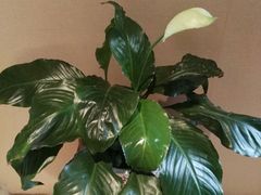 -上康中医脊椎理疗馆