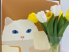 -comecome来吧宠物(奥克斯中心店)