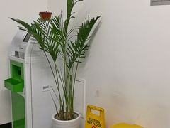 -中国中医科学院望京医院(院本部)