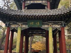 -迎泽公园