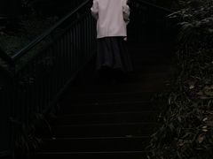 -重庆彩云湖湿地公园