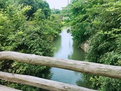 -乌村