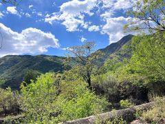 -鹫峰国家森林公园