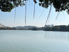 -惠州西湖