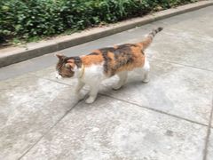 -巴金故居
