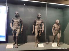 -北京周口店北京人遗址博物馆