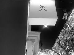 -常识咖啡common sense(春熙路店)