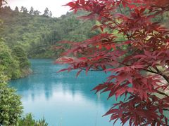 -军营村