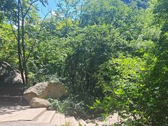 -大岭沟猕猴桃谷风景区