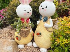 -上海共青森林公园