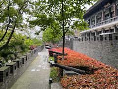-小湾茶楼