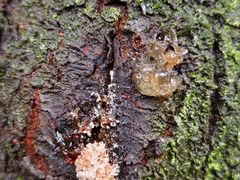 -陶祖圣境风景区