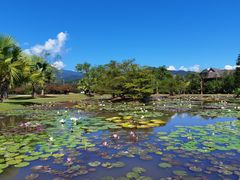 -中国科学院西双版纳热带植物园