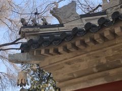 -香山公园