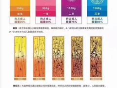 -金色雨林感统训练·专注力·语言认知·心理沙盘(天通苑校区)