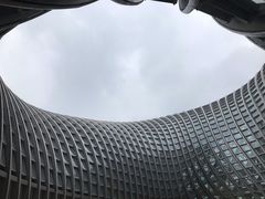 -凤凰中心