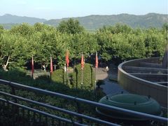 iphone_upload_pic-杭州君悦酒店