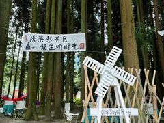 -武陵山森林公园