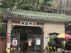 -谢怀亮芝麻茶