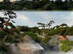 -罗红摄影艺术馆