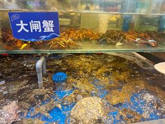 -亚马逊蒸汽活海鲜自助(LCM置汇旭辉广场店)