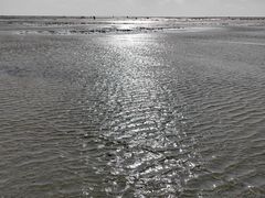 -北海金海湾红树林生态旅游区