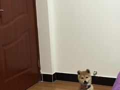 -太元彭家正汤(太元路总店)