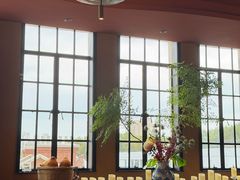 -滇野云南野生菌餐厅(陕西南路店)