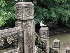 -音乐台