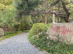 -东平国家森林公园