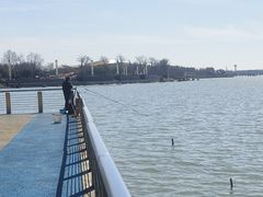 -滆湖低碳生态公园