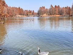 -宁波杭州湾国家湿地公园