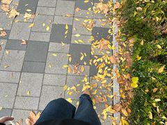 -山东外贸职业学院