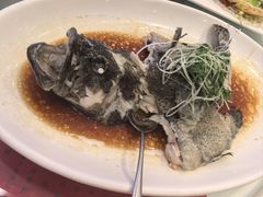 -春满园·早茶·粤菜·宴会(前海店)