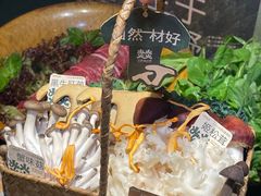 -大龙燚·旷野鲜火锅(广州首店)
