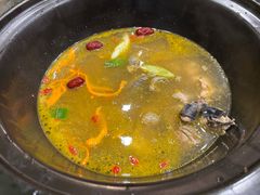 -菌乡缘·野生菌蒸汽鱼火锅(江边夜市店)