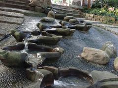 -成都市活水公园