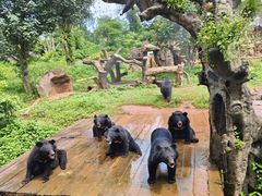 -海南热带野生动植物园