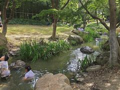 -新洲生态园