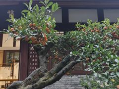 -成都杜甫草堂博物馆