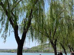 -济南国际园博园