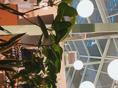 -Seesaw Coffee(上海太阳宫K46店)
