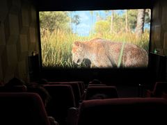 -喜满客影城(汉神广场店)