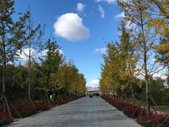 -野鸭湖国家湿地公园