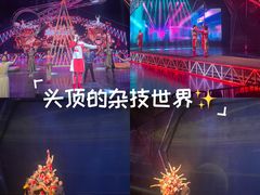 -重庆国际马戏城