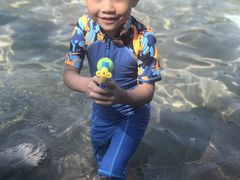 -柳浪游泳场