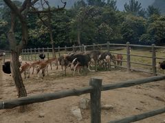 -西安秦岭野生动物园