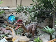 -国家自然博物馆