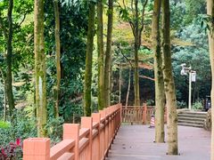 -广州市帽峰山景区