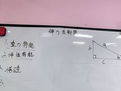 -童程童美·信息学竞赛·机器人编程·少儿编程(万寿路校区)